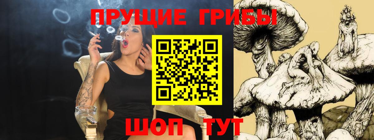 Псилоцибиновые грибы Cubensis  Псилоцибиновые грибы Psilocybe  Вход с VPN  Татарск 